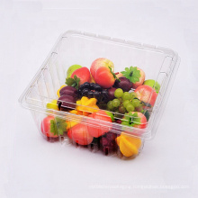 Wholesale Custom Plastic Clear Fruit Box Container